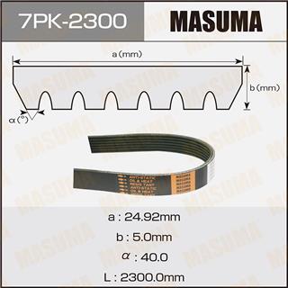 Thermostat Masuma