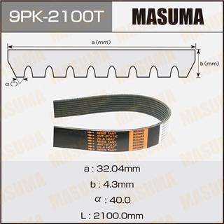 Thermostat Masuma