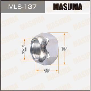 Thermostat Masuma