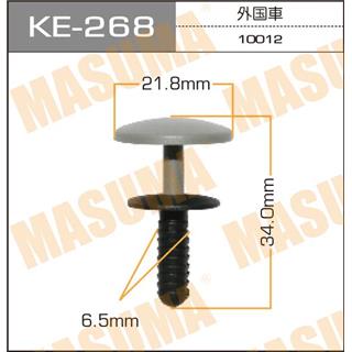 Thermostat Masuma
