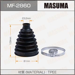 Thermostat Masuma