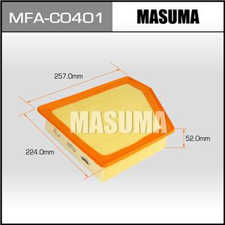 Thermostat Masuma