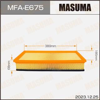 Thermostat Masuma