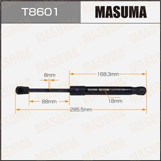 Thermostat Masuma