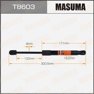 Thermostat Masuma