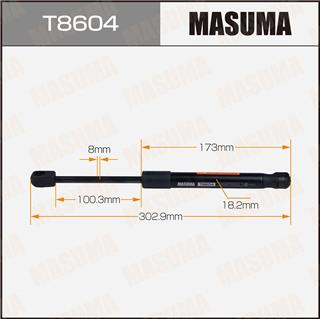 Thermostat Masuma