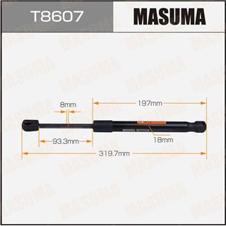 Thermostat Masuma