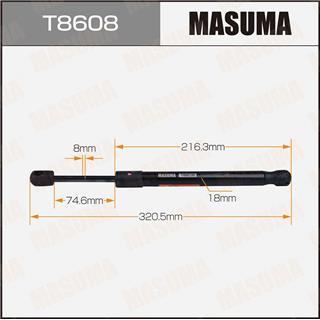 Thermostat Masuma