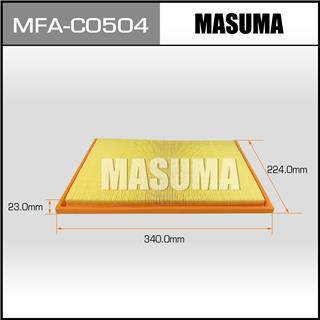 Thermostat Masuma