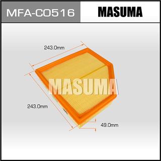Thermostat Masuma