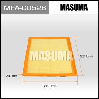 Thermostat Masuma