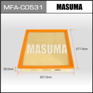 Thermostat Masuma