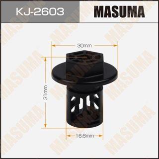 Thermostat Masuma