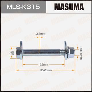 Thermostat Masuma