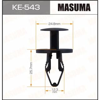 Thermostat Masuma