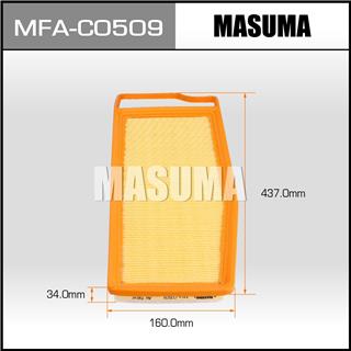 Thermostat Masuma