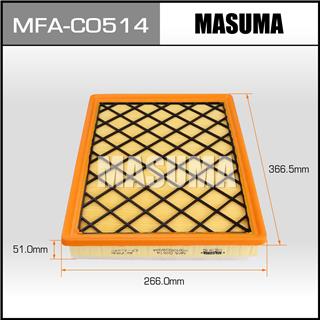 Thermostat Masuma