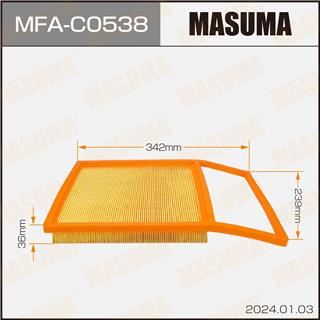 Thermostat Masuma