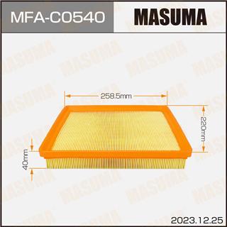 Thermostat Masuma