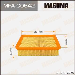 Thermostat Masuma