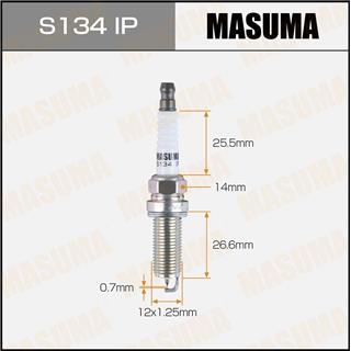 Thermostat Masuma