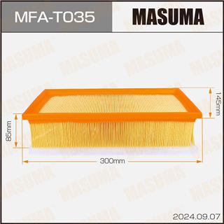 Thermostat Masuma
