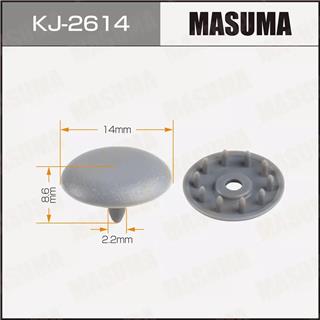 Thermostat Masuma
