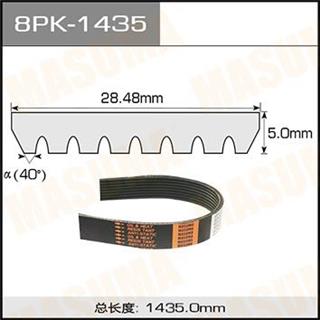 Thermostat Masuma