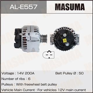 Thermostat Masuma