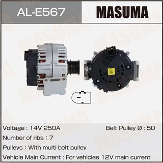 Thermostat Masuma