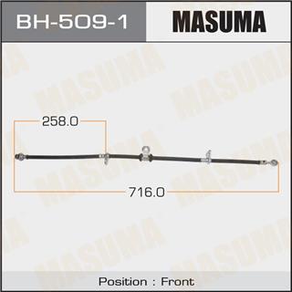 Thermostat Masuma