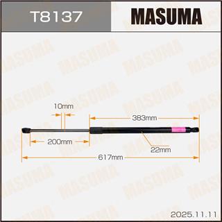Thermostat Masuma