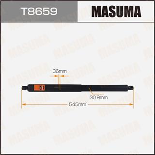 Thermostat Masuma