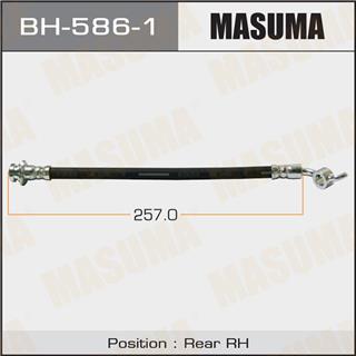Thermostat Masuma
