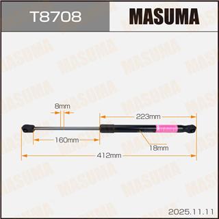 Thermostat Masuma