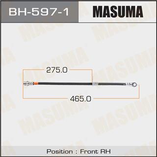 Thermostat Masuma