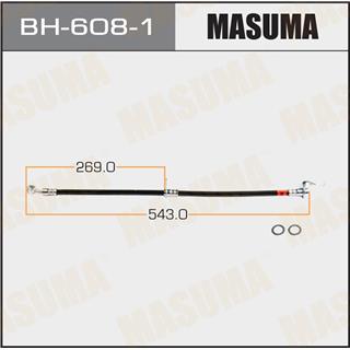 Thermostat Masuma