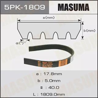 Thermostat Masuma