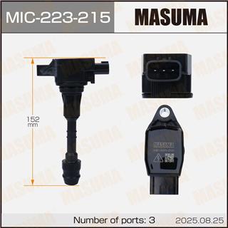 Thermostat Masuma