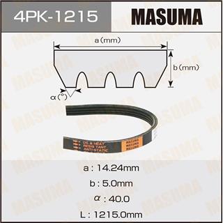 Thermostat Masuma