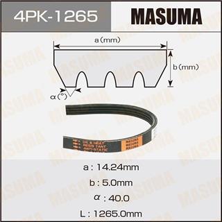 Thermostat Masuma