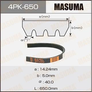 Thermostat Masuma