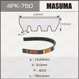 Thermostat Masuma
