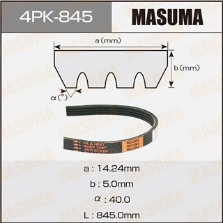 Thermostat Masuma