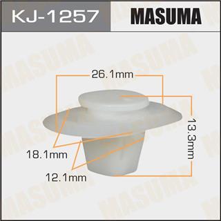 Thermostat Masuma