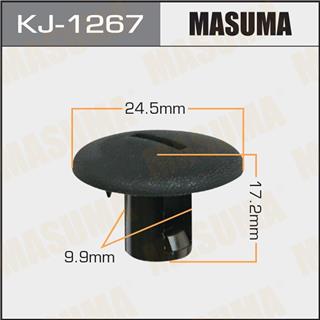 Thermostat Masuma