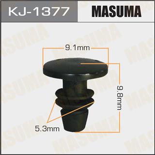 Thermostat Masuma