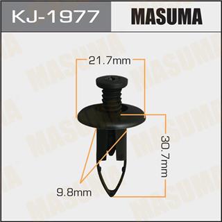 Thermostat Masuma