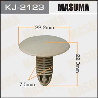 Thermostat Masuma