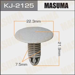 Thermostat Masuma